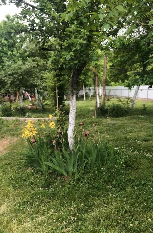 Виллы Kurort Imereti-Villa Satsire Tqibuli-38