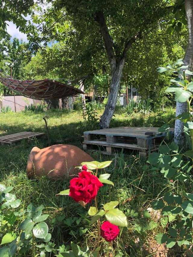 Виллы Kurort Imereti-Villa Satsire Tqibuli-31